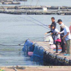 淡路じゃのひれフィッシングパーク 釣果