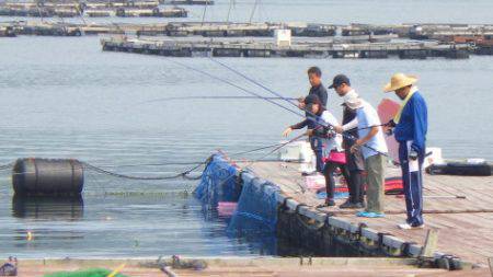 淡路じゃのひれフィッシングパーク 釣果