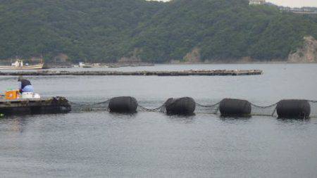 淡路じゃのひれフィッシングパーク 釣果
