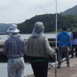 淡路じゃのひれフィッシングパーク 釣果