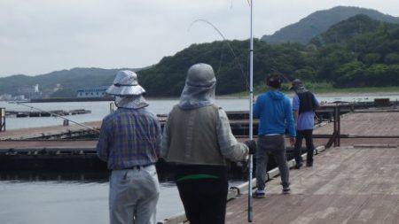 淡路じゃのひれフィッシングパーク 釣果