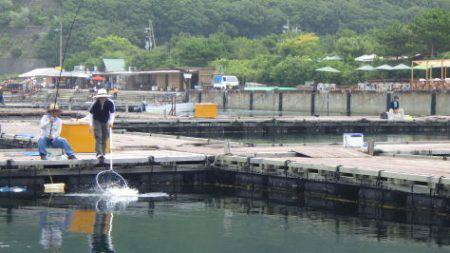 淡路じゃのひれフィッシングパーク 釣果