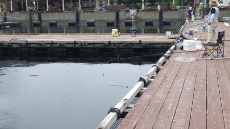 淡路じゃのひれフィッシングパーク 釣果