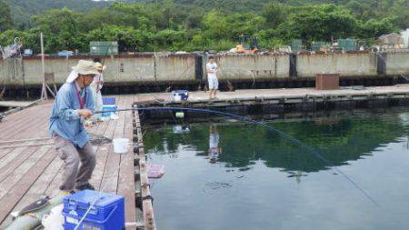 淡路じゃのひれフィッシングパーク 釣果