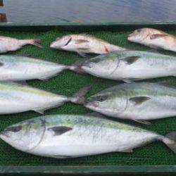 淡路じゃのひれフィッシングパーク 釣果