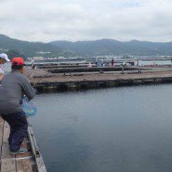 淡路じゃのひれフィッシングパーク 釣果