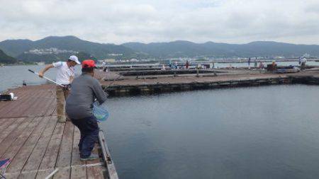 淡路じゃのひれフィッシングパーク 釣果