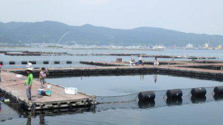 淡路じゃのひれフィッシングパーク 釣果