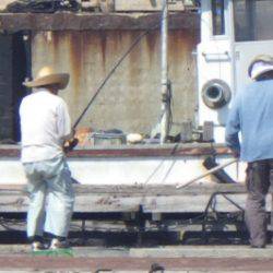 淡路じゃのひれフィッシングパーク 釣果