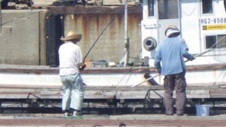 淡路じゃのひれフィッシングパーク 釣果