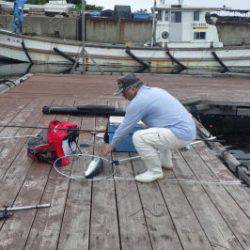 淡路じゃのひれフィッシングパーク 釣果