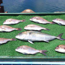 淡路じゃのひれフィッシングパーク 釣果