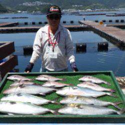 淡路じゃのひれフィッシングパーク 釣果