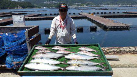 淡路じゃのひれフィッシングパーク 釣果