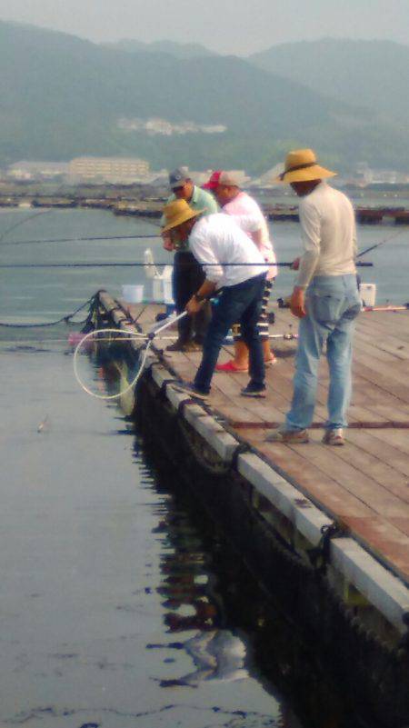 淡路じゃのひれフィッシングパーク 釣果