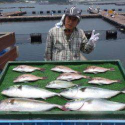 淡路じゃのひれフィッシングパーク 釣果