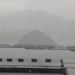 淡路じゃのひれフィッシングパーク 釣果