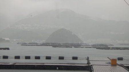 淡路じゃのひれフィッシングパーク 釣果