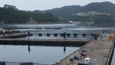 淡路じゃのひれフィッシングパーク 釣果