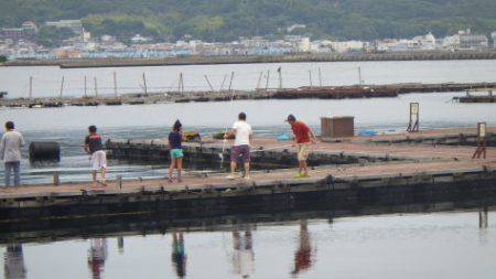 淡路じゃのひれフィッシングパーク 釣果