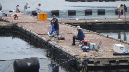 淡路じゃのひれフィッシングパーク 釣果