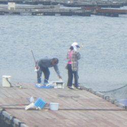 淡路じゃのひれフィッシングパーク 釣果