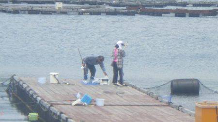 淡路じゃのひれフィッシングパーク 釣果