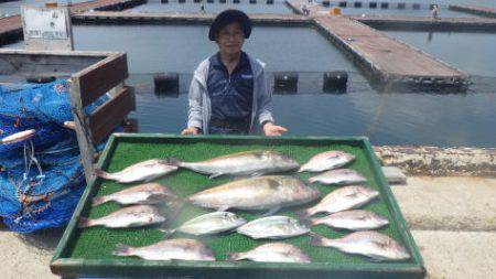 淡路じゃのひれフィッシングパーク 釣果