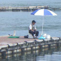 淡路じゃのひれフィッシングパーク 釣果