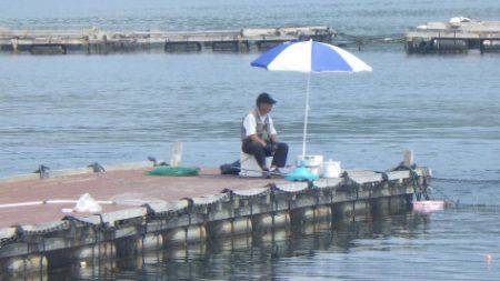 淡路じゃのひれフィッシングパーク 釣果