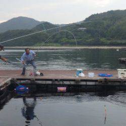 淡路じゃのひれフィッシングパーク 釣果