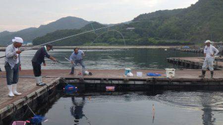 淡路じゃのひれフィッシングパーク 釣果