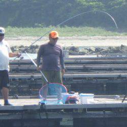 淡路じゃのひれフィッシングパーク 釣果