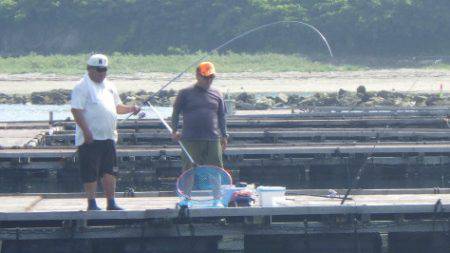 淡路じゃのひれフィッシングパーク 釣果