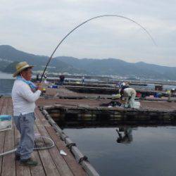 淡路じゃのひれフィッシングパーク 釣果