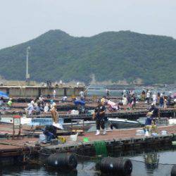 淡路じゃのひれフィッシングパーク 釣果