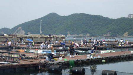 淡路じゃのひれフィッシングパーク 釣果