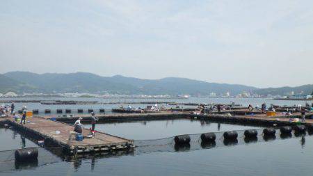 淡路じゃのひれフィッシングパーク 釣果