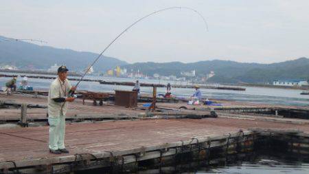 淡路じゃのひれフィッシングパーク 釣果