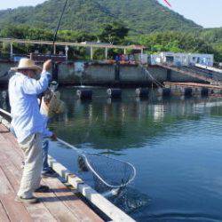 淡路じゃのひれフィッシングパーク 釣果