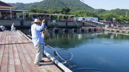 淡路じゃのひれフィッシングパーク 釣果