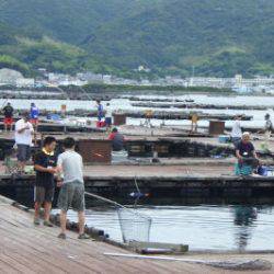 淡路じゃのひれフィッシングパーク 釣果
