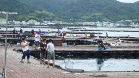 淡路じゃのひれフィッシングパーク 釣果