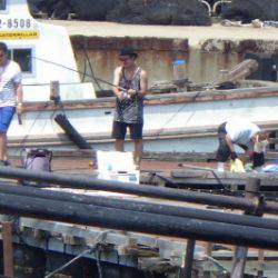 淡路じゃのひれフィッシングパーク 釣果