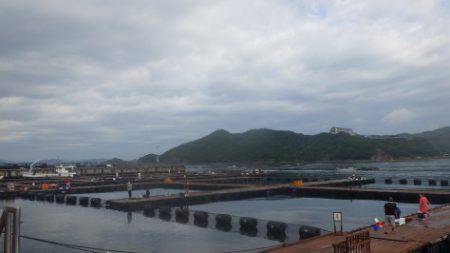 淡路じゃのひれフィッシングパーク 釣果