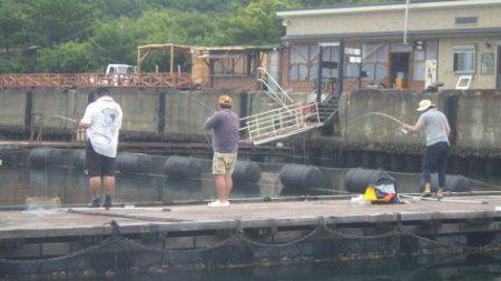 淡路じゃのひれフィッシングパーク 釣果