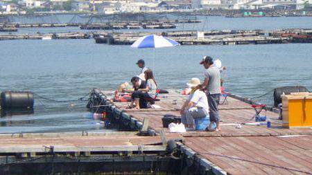 淡路じゃのひれフィッシングパーク 釣果