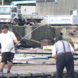 淡路じゃのひれフィッシングパーク 釣果