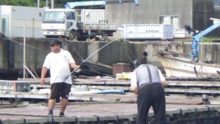 淡路じゃのひれフィッシングパーク 釣果