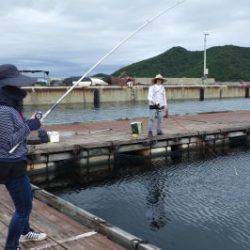 淡路じゃのひれフィッシングパーク 釣果